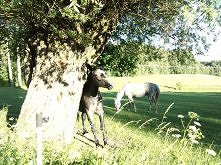 Najpiękniejsze jakie widzia...