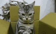 Lepiej z nim nie zadzierać...; )