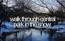 ..walk through central park in the snow.