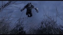 wilkolak
