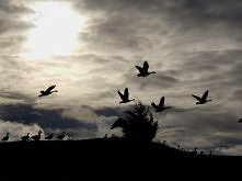 każdy potrzebuje chwili dla siebie ...