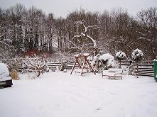 piękna w tym roku była zima