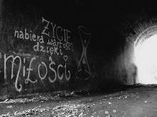 zgadzam się, cholernie się zgadzam