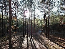 Uwielbiam ten widok...