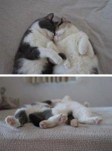 relaks:)