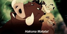 Hakuna Matata !