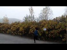 I Won't Give Up The Carrot Cakes Cover