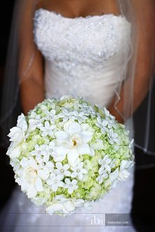 Biel i zielonkawa hortensja