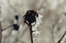 Zdjęcie zrobione podczas sp...