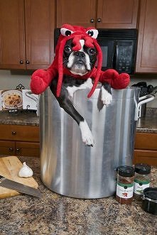 Ja Wam pokażę jak się gotuje rosół!