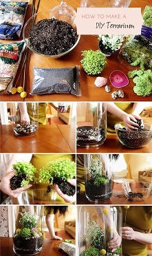 DIY terrarium