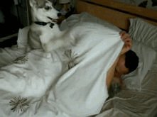 Nie ma spania, wstawaj!!!