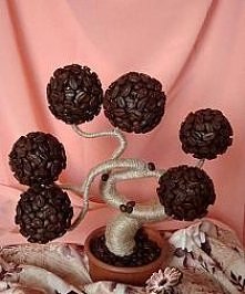 kawowe drzewko szczęścia