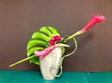 Heliconia w roli głównej