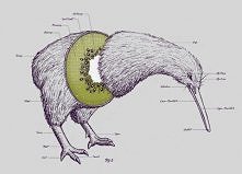 a może kiwi? :)