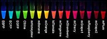 Przykłady fluorescencyjnych...