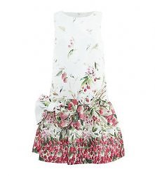Red Valentino Garden Print Dress
