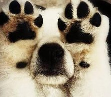 Nie chce mi się wstawać!