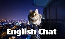 English cat