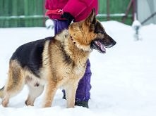 Net do adopcji.
Kliknij i zobacz szczegóły / Zoomia.pl