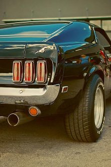 All I need is love and mustang