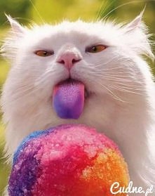 oo jejusiu ale pycha:D