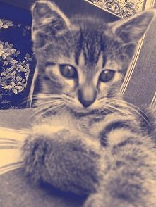 mój ryszard, pare lat temu