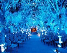 zapraszam na bloga party-ekiz.blogspot.com