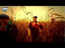 DonGuralesko feat. Rafi, DJ Soina - Pomimo to