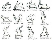 Bunny Yoga :)30 sek każdego...
