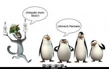 Pingwiny z Madagaskaru