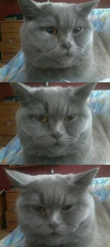 what are you doing baby?