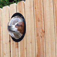 Pet Peek Dog Window