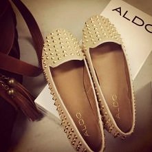 aldo.