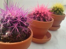 mój walentynkowy prezent