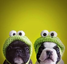 i uśmiech na twarzy murowany:D