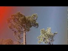 BASTILLE // Requiem for Blu...