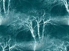 Marek i Agata Torzewscy- les rois du monde