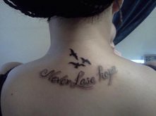 never lose hope