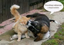 Najlepszy przyjaciel zawsze...