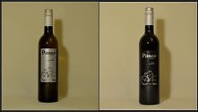 wino