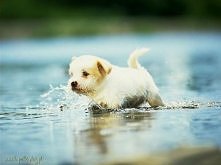 *.*