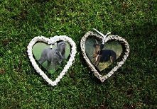 Mastino Napolitano-zapowied...