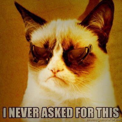 grumpy cat=)
