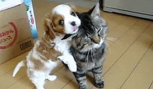 głasku, głasku mój milasku :)