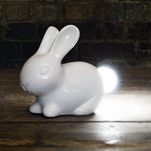 Bunny Light