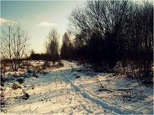 Kiedyś i dziś...
Kto dziś pamięta te dawne lata?
w bzach i jaśminach schowana chata.
Na dachu złote słomy poszycie
pod oknem malwy w pełnym rozkwicie.
Skrzypiący żuraw, stągwie ...