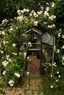 pergola