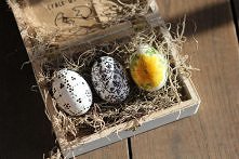 Niecodzienne, wielkanocne DIY: jajko z niespodzianką

Opis: KLIKNIJ na obrazek

Więcej: trashionbysookie.blogspot.com