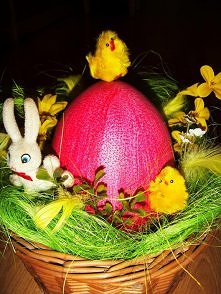 moja strusia pisanka :)